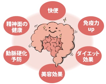 腸活、体質改善のやり方を教えます 健康の入り口は腸活、健康のシートベルトは体質改善 イメージ1