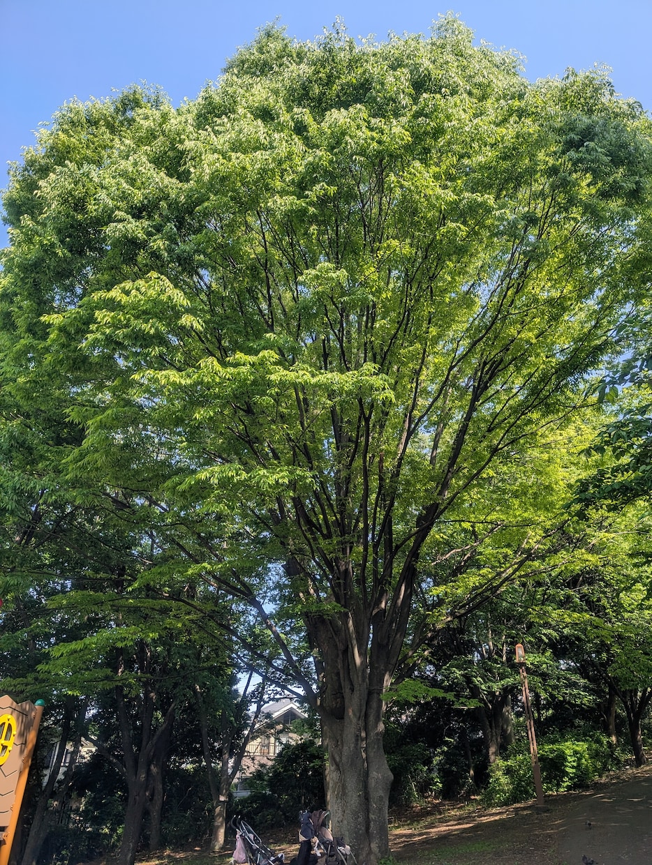 あなたの悩みに寄り添います 友だちやママ友に話せない悩み、じっくり聞かせてください。 イメージ5