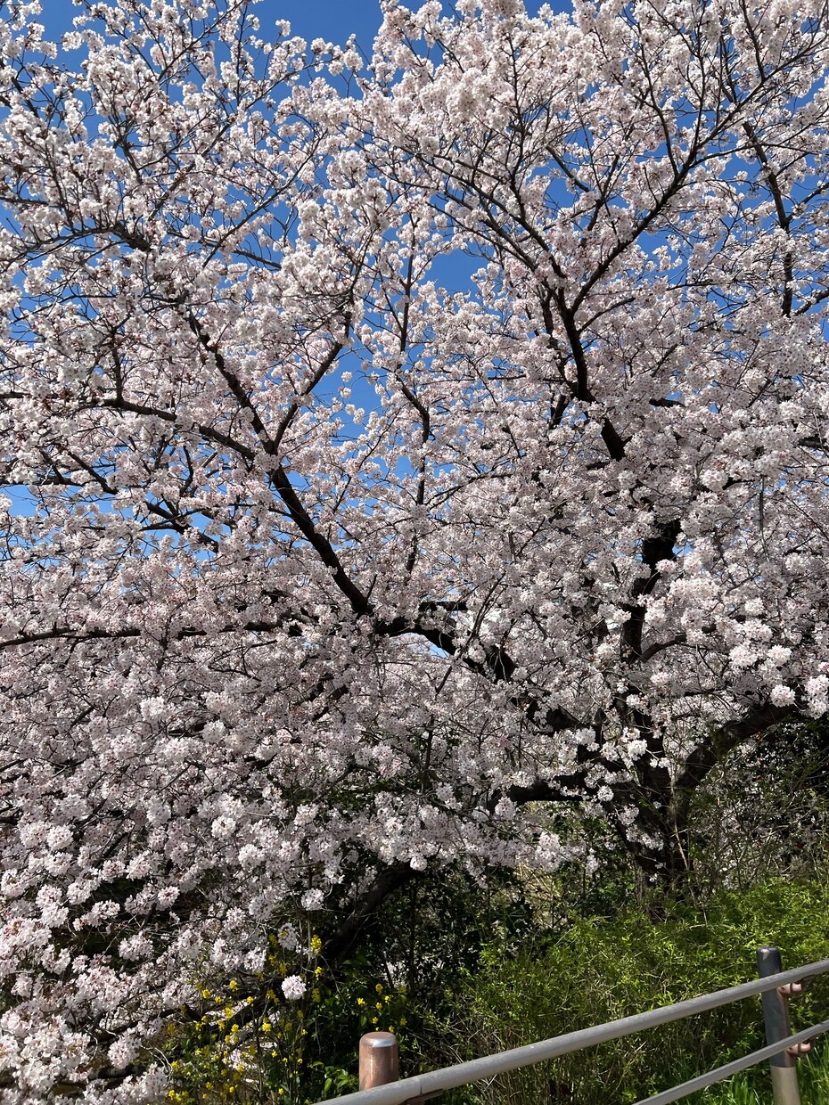 とても綺麗な風景の写真をお届けしますます 綺麗！可愛い！すてき！行った気になる！ イメージ2
