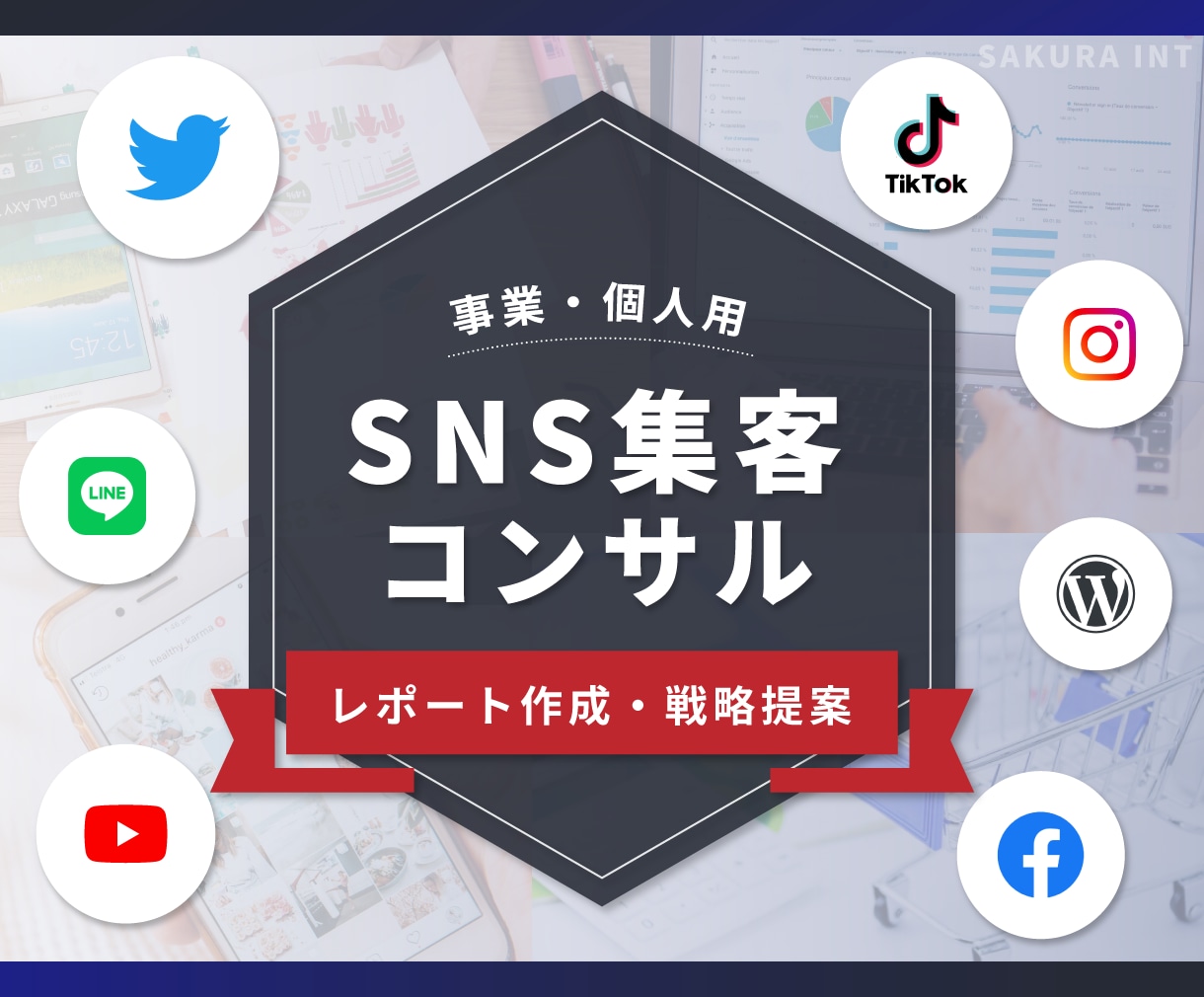 事業・個人用SNSの集客コンサルを行います 有名インフルエンサーも担当するプロが戦略レポートを作成します イメージ1