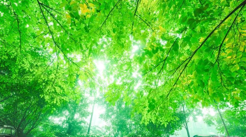 複雑な恋のお相手の気持ち│2人の未来を視ます 誰にも言えない想い─愛の流れを読み解き、望む現実へ導きます イメージ4