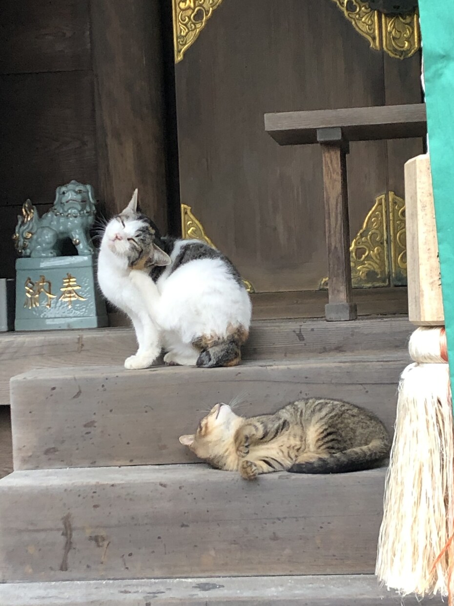 あなた未来の伴侶の姿教えます どんな立場の人 どこから出現するのか 知りたくないですか？ イメージ1