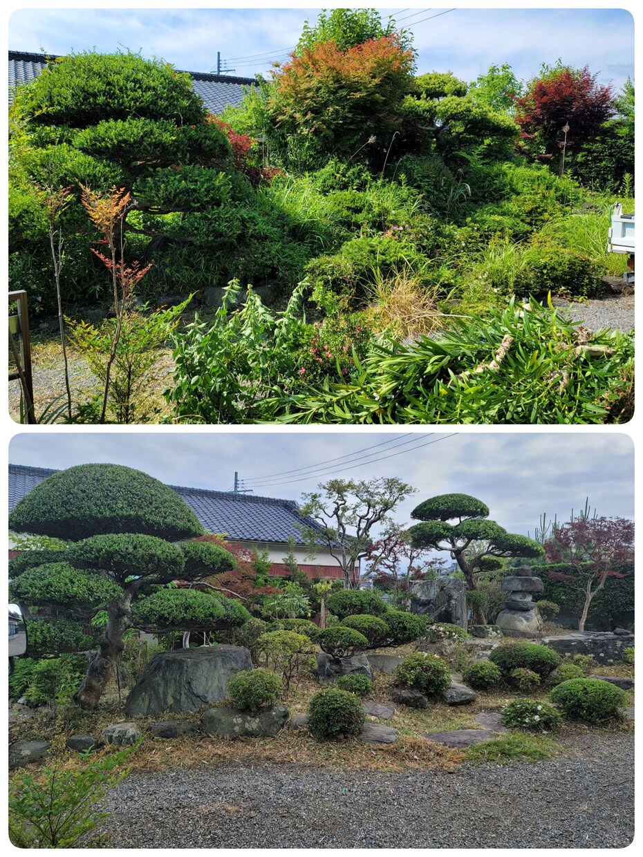 空き家などの所有地の剪定・草刈り・伐採します 現役の植木屋が相談に乗ります。 イメージ1