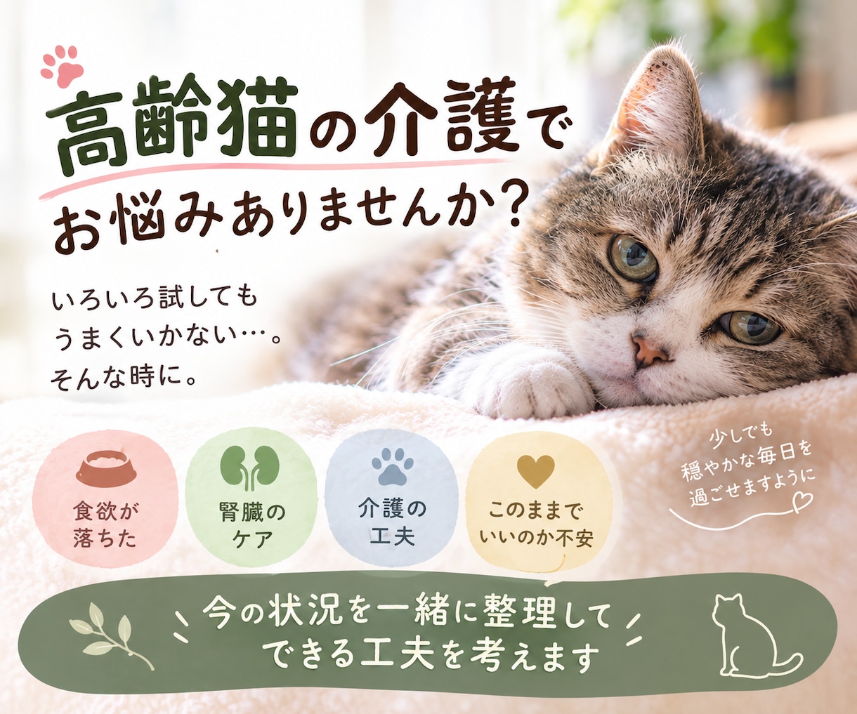 高齢猫の介護のお悩み、ご相談お受けします ​20年の猫飼育経験と専門知識であなたの不安に寄り添います イメージ1