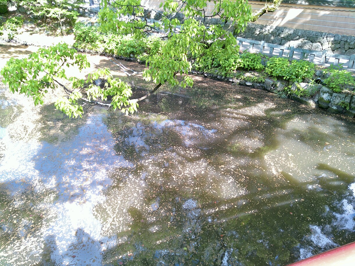 話聞きます なんでも笑い飛ばしますので、気軽にどうぞ〜 イメージ1