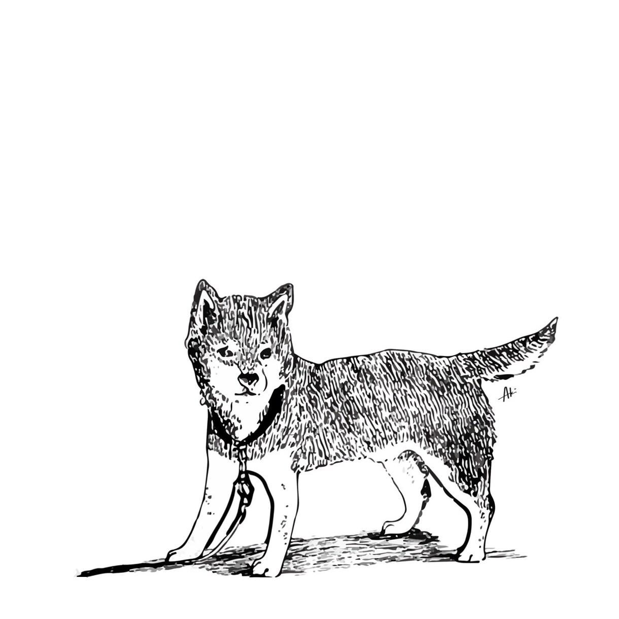 わんちゃん、ねこちゃんetc…のイラストを描きます あなたの家族の動物たちをかわいくイラストで側に置きませんか？ イメージ4