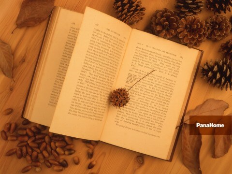   【感想】あなたの物語、読みます  イメージ1