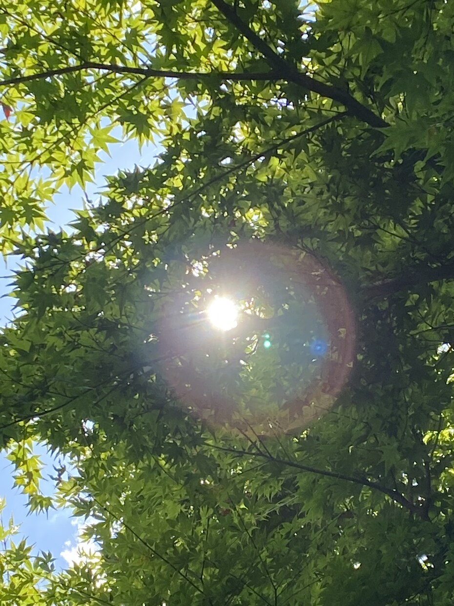 人生の流れを変える方法をお伝えします 「目の前は鏡」ってどう言うこと？ それで運が良くなるの？ イメージ2