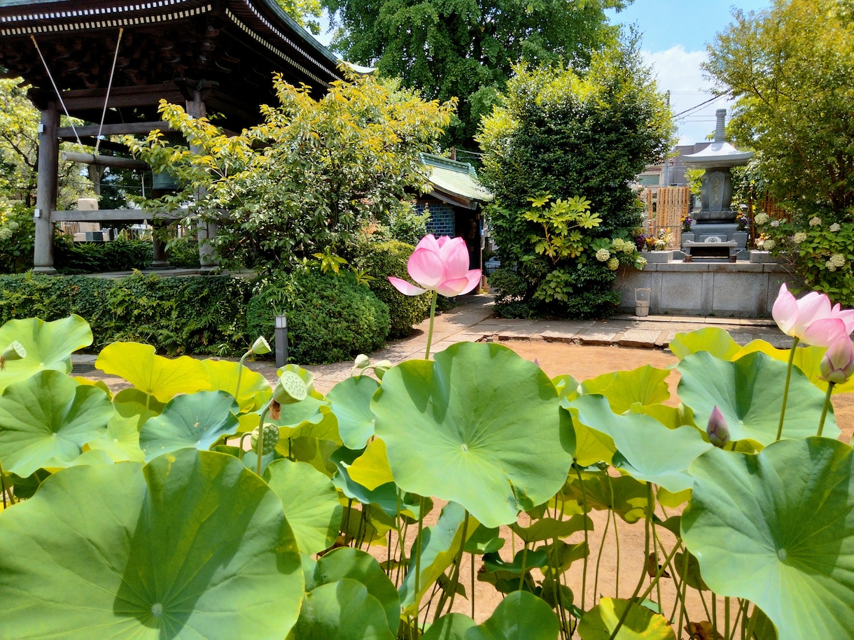 ホッとして心がほどけるお時間をあなたにお届けします あなたの思いをおきかせください。 イメージ1