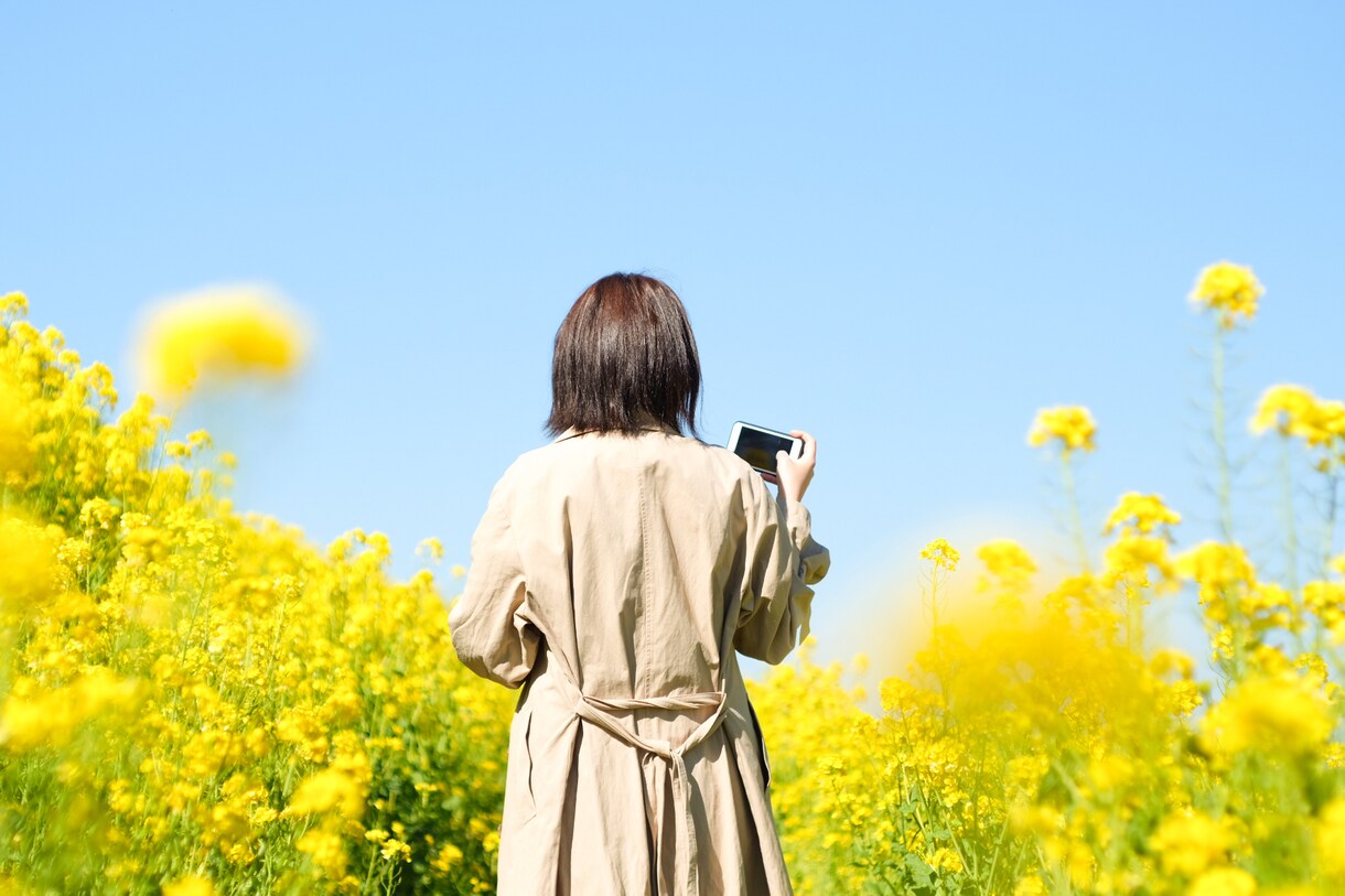 あなたの希望する写真を撮ります 実際にその場にいるような写真を撮ります！ イメージ3