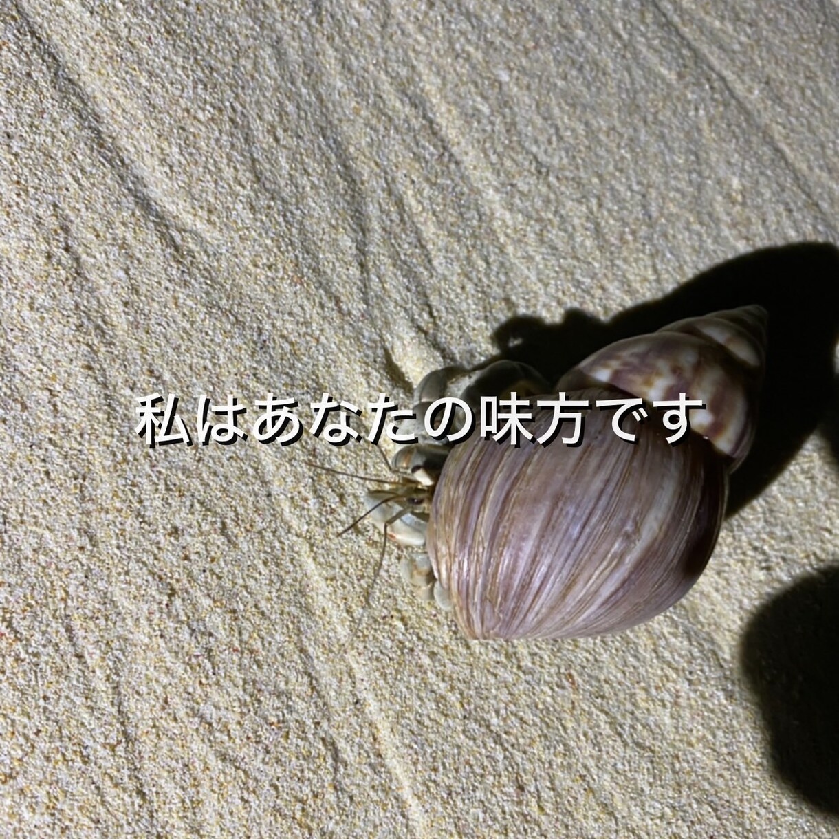 あなたのお話を、じっくり丁寧にお聞きします 愚痴、心配ごとなど、優しくあなたに寄り添ってお聞きします イメージ4