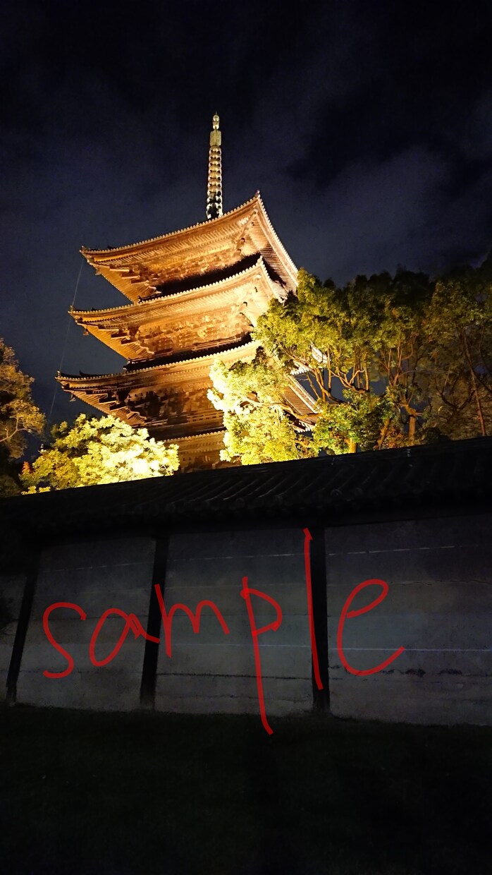 都内、関東近郊スマホで写真代行します スマホのみで撮影！ミニチュアや白黒写真あります！ イメージ6