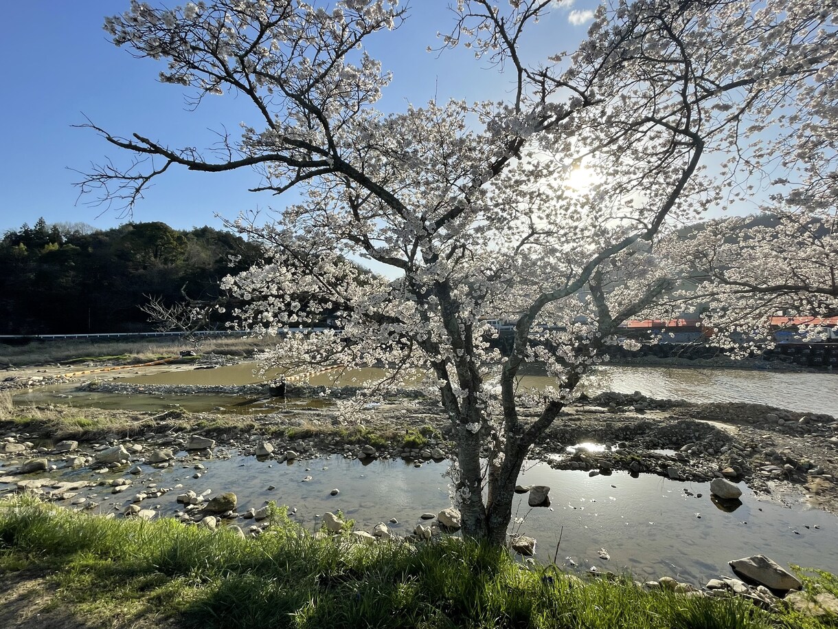 発達・不登校・シングルの悩み、整理します 経験者にしか分からない事もありますよね。 イメージ4