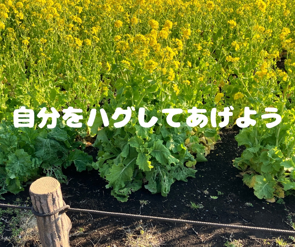 1分からOK！メンタル疾患当事者が相談に乗ります 気分変調症の私があなたに寄り添います。 イメージ8