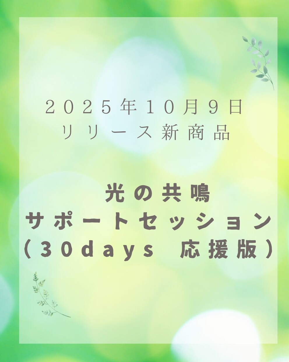 光の共鳴サポートセッション（30日応援版）してます あなたの発信と活動を、光の磁場から30日間サポート。 イメージ1