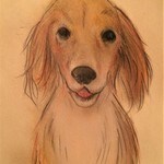 お写真を基にしたパステル画です。ます 可愛いペットや大切な方を絵にしてみませんか？ イメージ1