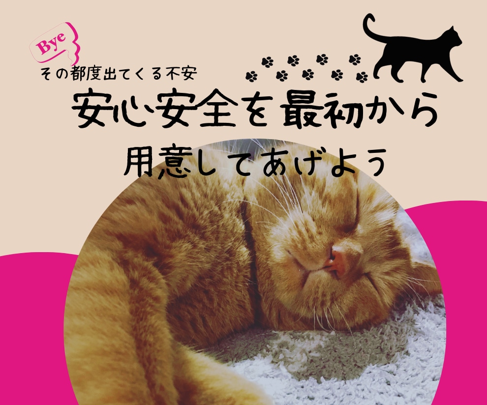 保護ネコを家族に迎えるはじめてさんにお届けします 動物看護士×トリマー×統合医療実務から保護ネコサポートを伝授 イメージ1