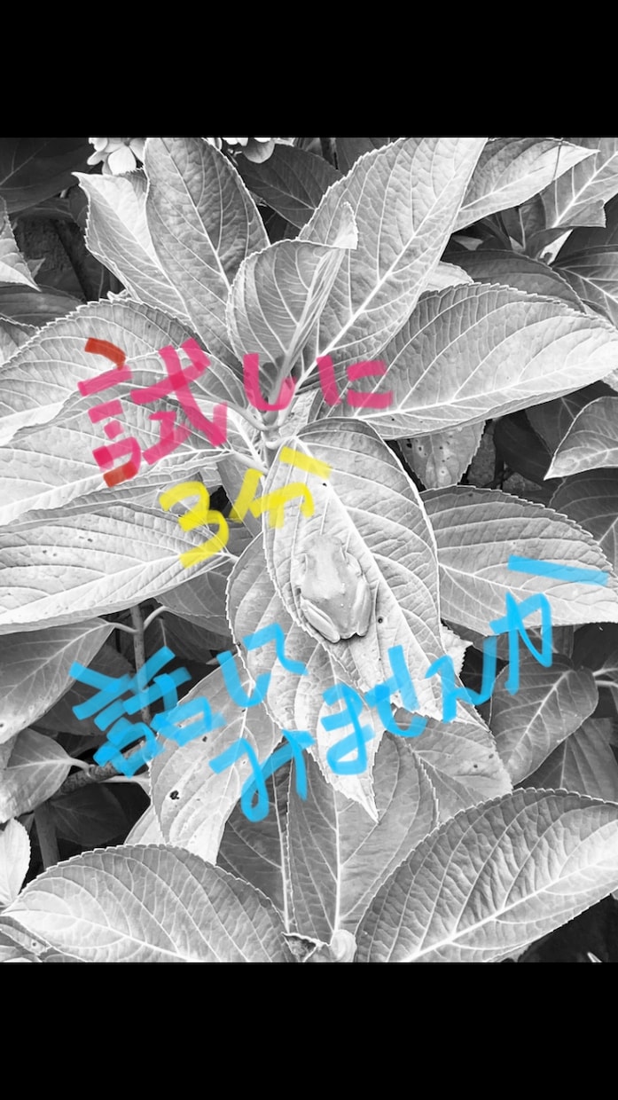 ただただ愚痴やお話し聞いて欲しい方お聞きします 聞いてもらう事で整理が出来る事もあるのでそんな時にどうぞ イメージ2