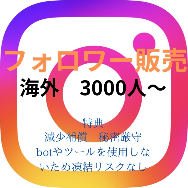 Instagram 海外フォロワーを増加させます Instagramを宣伝します 海外フォロワー3000人〜 イメージ1