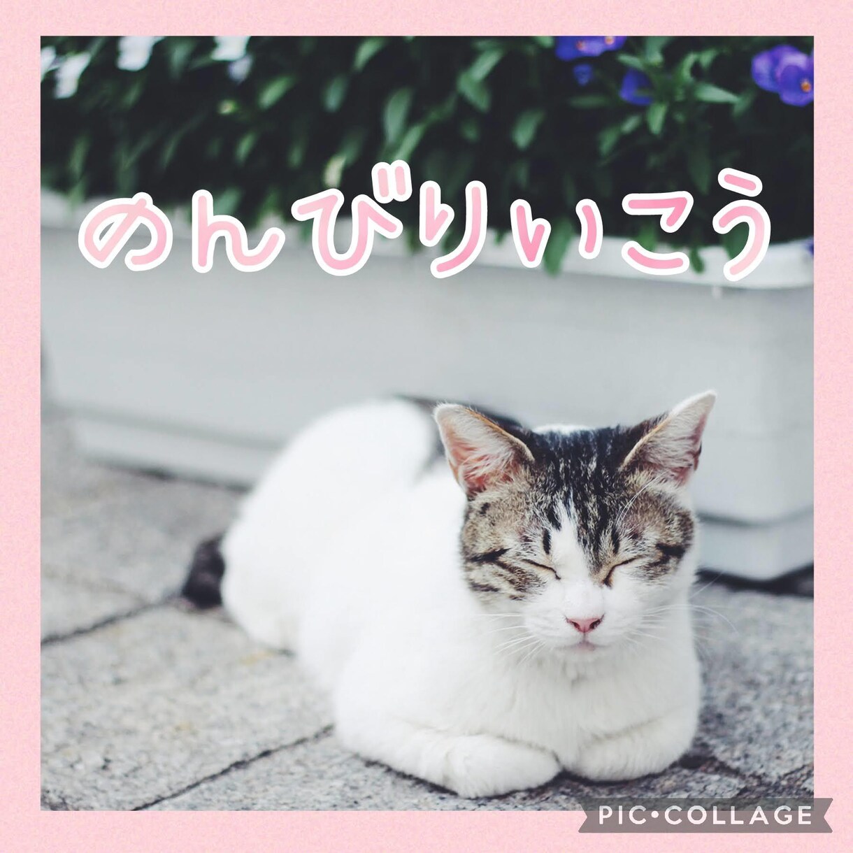繊細なHSPさんのお悩みを伺い心を癒します 人に理解してもらえない苦しみを優しく受け止めます イメージ8