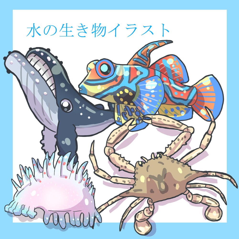 魚や海洋生物のデフォルメイラストを描きます 魚介類、クジラ、イルカ、ウミウシ、深海魚など イメージ1