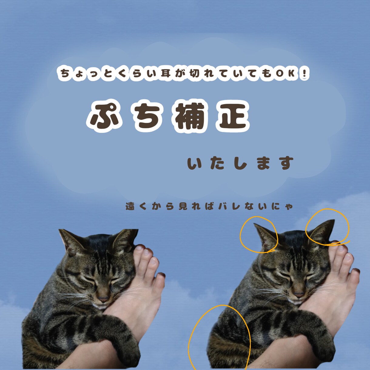 LINEスタンプ用に写真のトリミングや補正をします 自分でスタンプを作りたい人向け。トリミングの手間を省略！ イメージ2