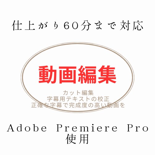 動画編集・字幕用テキスト校正します 誤字・脱字のない完成度の高い動画にしましょう イメージ1