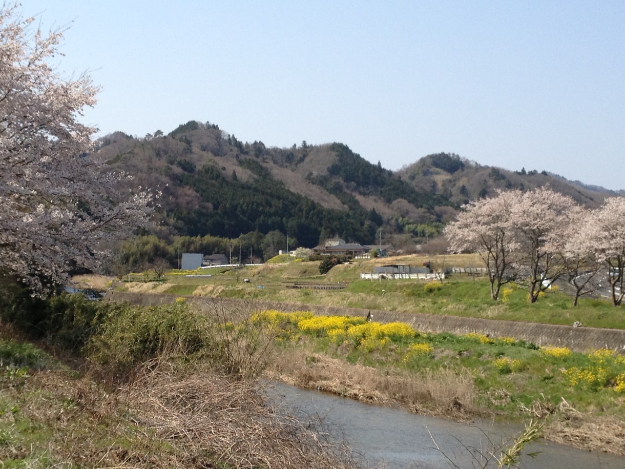 ノウハウコレクター脱出させます 「情報商材を買ったのに 稼げない」という悩みを解決しましょう イメージ1