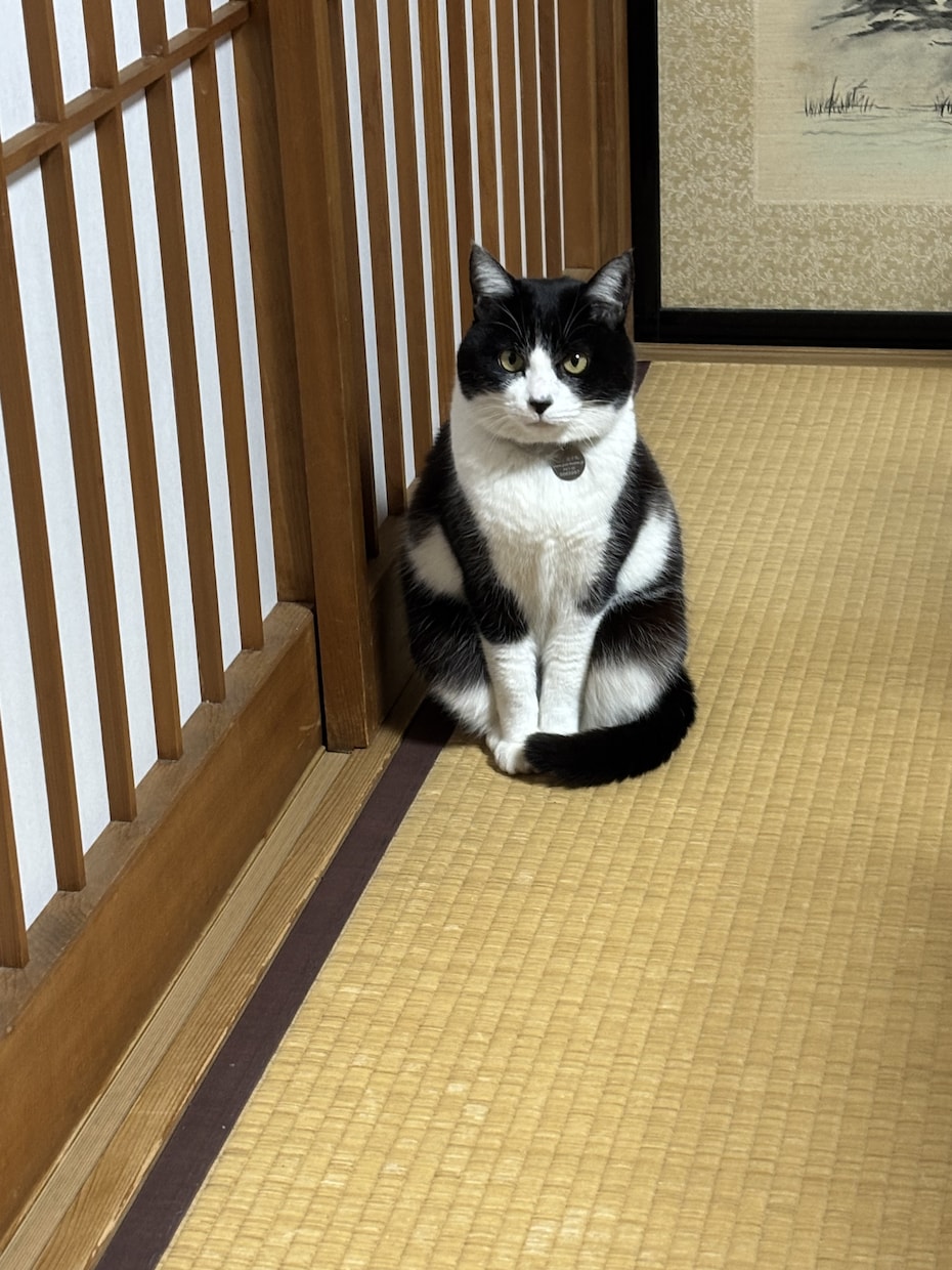お坊さんが悩みと愚痴を聞きます 若い僧侶（雲水、お坊さん）に電話相談できるサービスです。 イメージ6