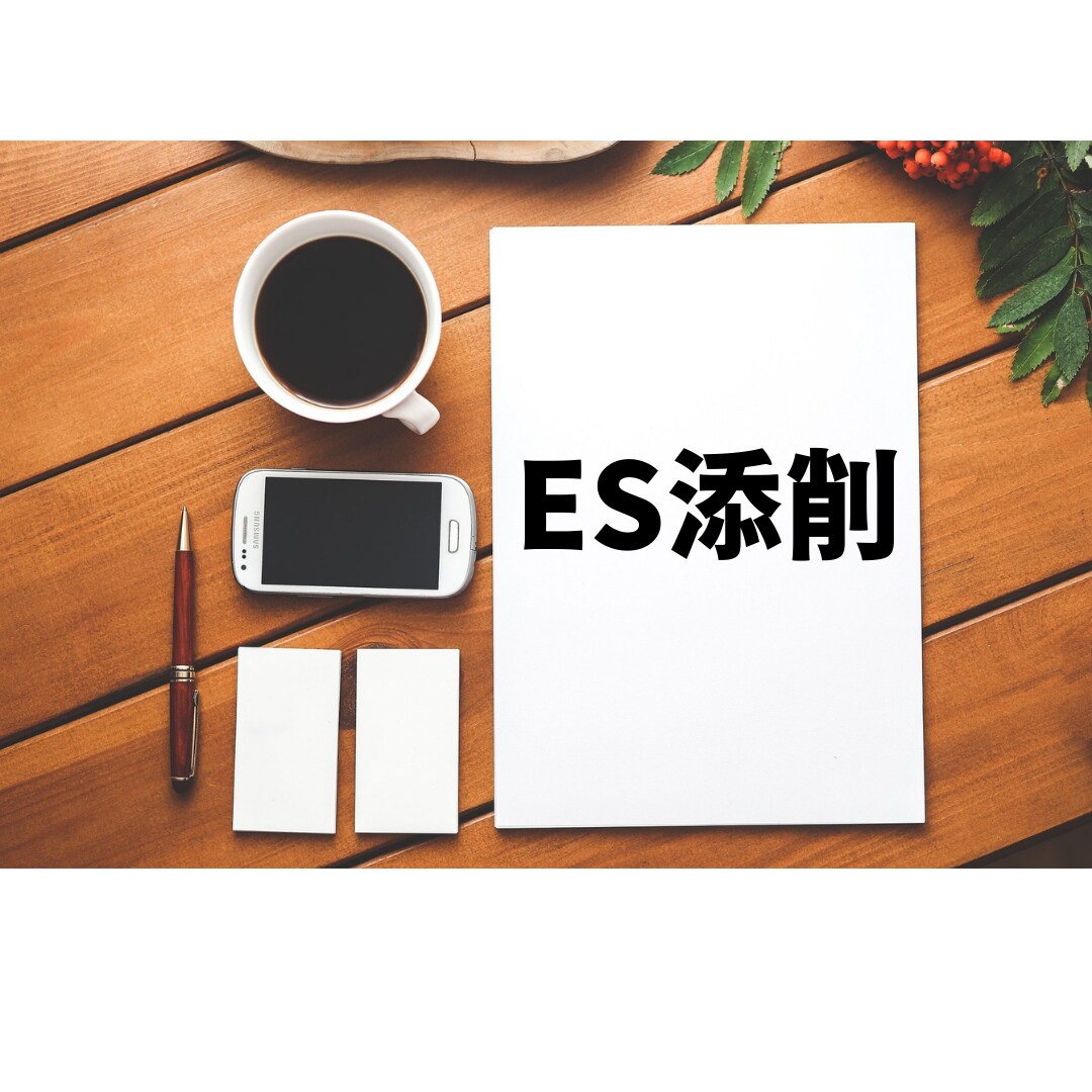 文系：ES添削、作成サポートいたします 採用人事目線で、目を惹く書類に磨き上げます！ イメージ1