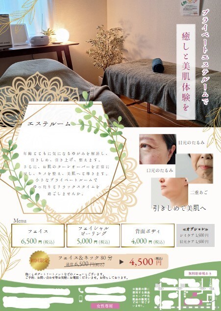 8月末までALL 5000円チラシ作ります 企業のDM作成実績13年のデザイナーが製作！ イメージ3