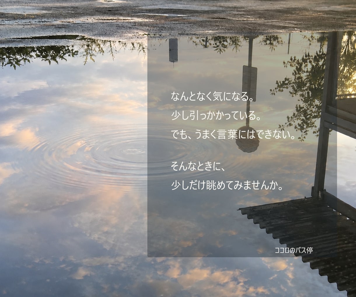 タロット1枚で今のあなたを丁寧に読み解きます 答えを探す前に、あなたの中にあるものを眺めます イメージ2