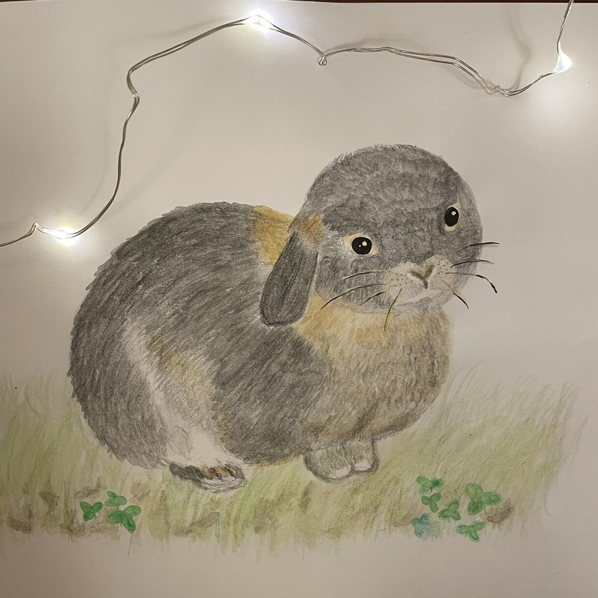 あなたの大好きなペットを描きます ふんわり優しいタッチのイラストが欲しい方へ イメージ4