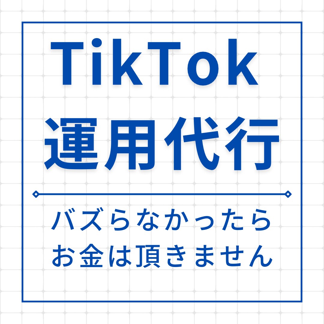 総再生数150万以上の僕がtiktok代行します 企画考案から動画編集までマルっと任せてください！ イメージ1