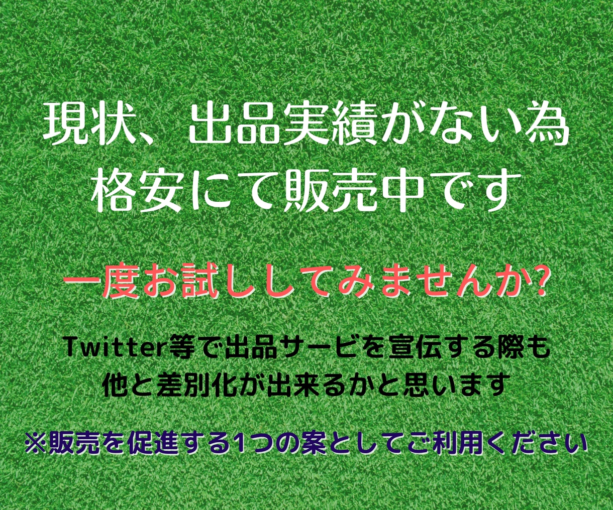 ココナラ専用の商品紹介ページ制作します 【★新規出品につき3名様限定価格と致します★】 イメージ5