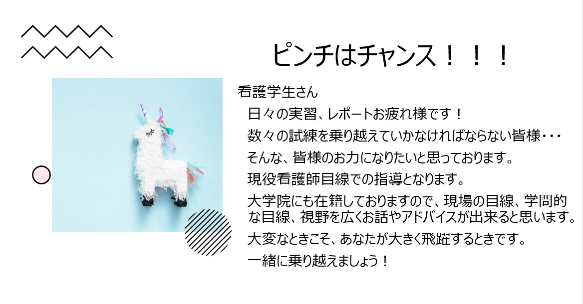 看護学生のピンチお助けいたします 「もう限界・・・・・」そんな看護学生、一緒に考えます！ イメージ1