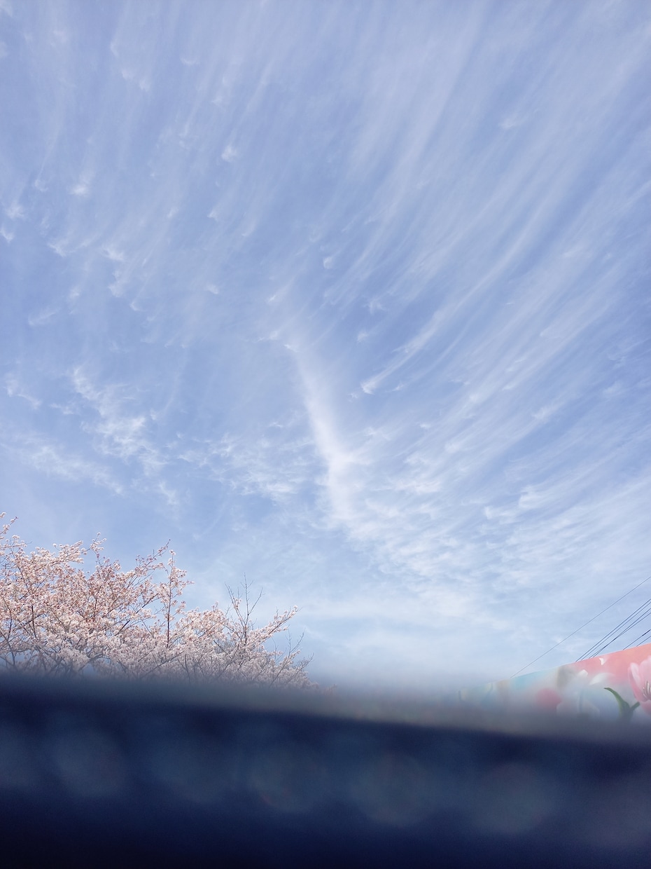 雲や、夕焼け、朝日の写真をとります 綺麗だと思った写真を売ります。 イメージ4