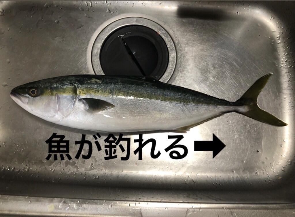 魚の三枚おろしからオススメの調理法方まで教えます 自分で釣った魚をより美味しく！魚種に応じてアドバイスします！ イメージ1