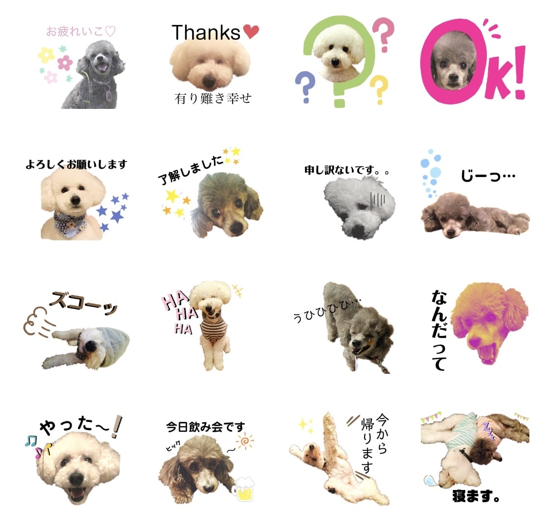 家族の一員(ペット)写真でLINEスタンプ作ります 使うたびに癒される…！大事な家族の写真をLINEスタンプに。 イメージ3