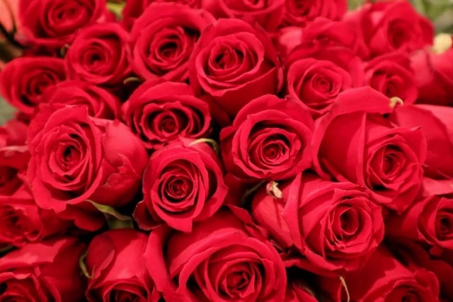 深層深くから状況を鑑定し、薔薇色パワーを送ります ‼️恋愛、複雑な恋愛、仕事、人間関係に！お困りの方必見‼️ イメージ1
