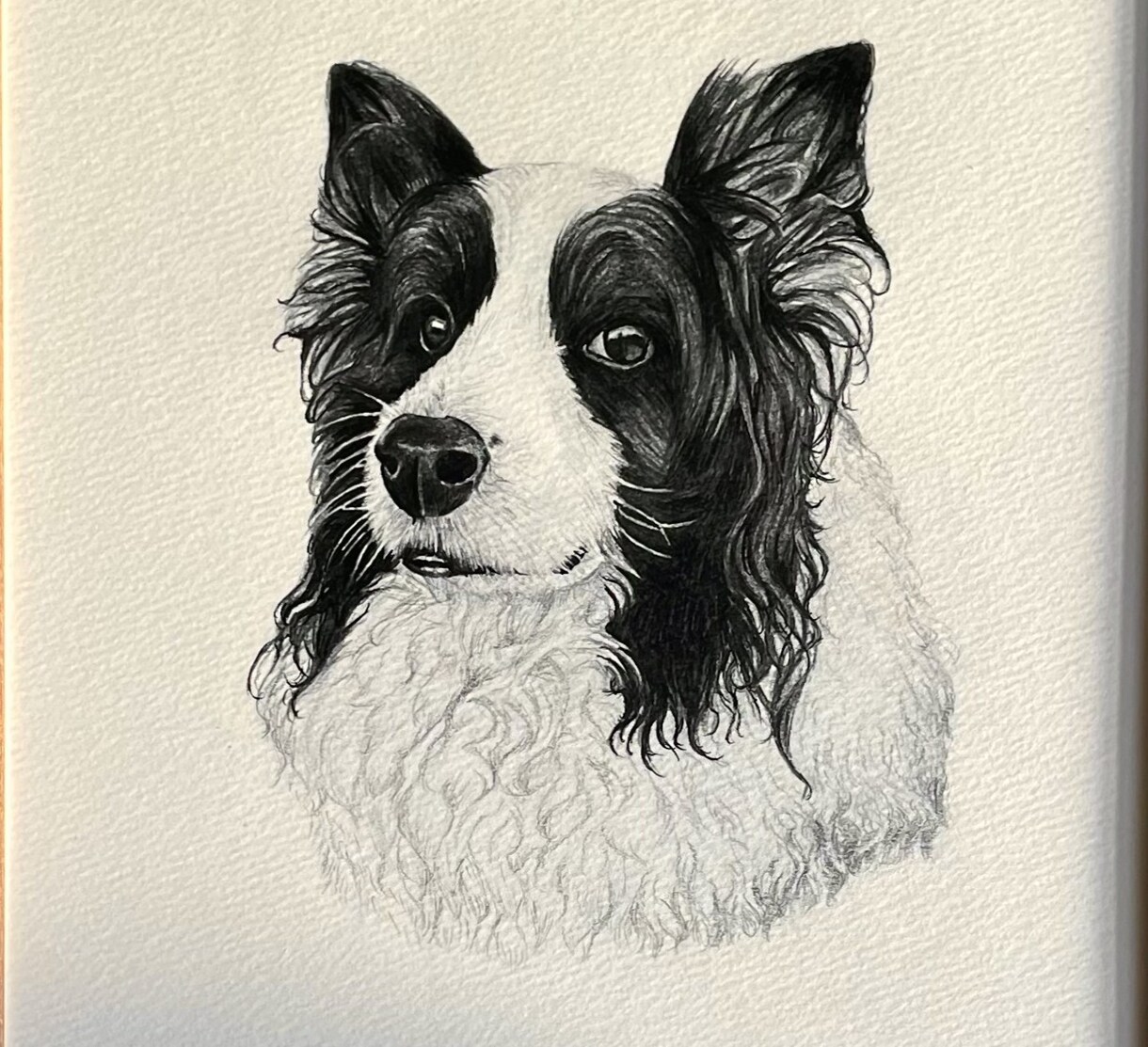 犬•猫•ペットの似顔絵を鉛筆画で丁寧に描きます 小動物〜爬虫類ちゃんのイラストもOK イメージ5