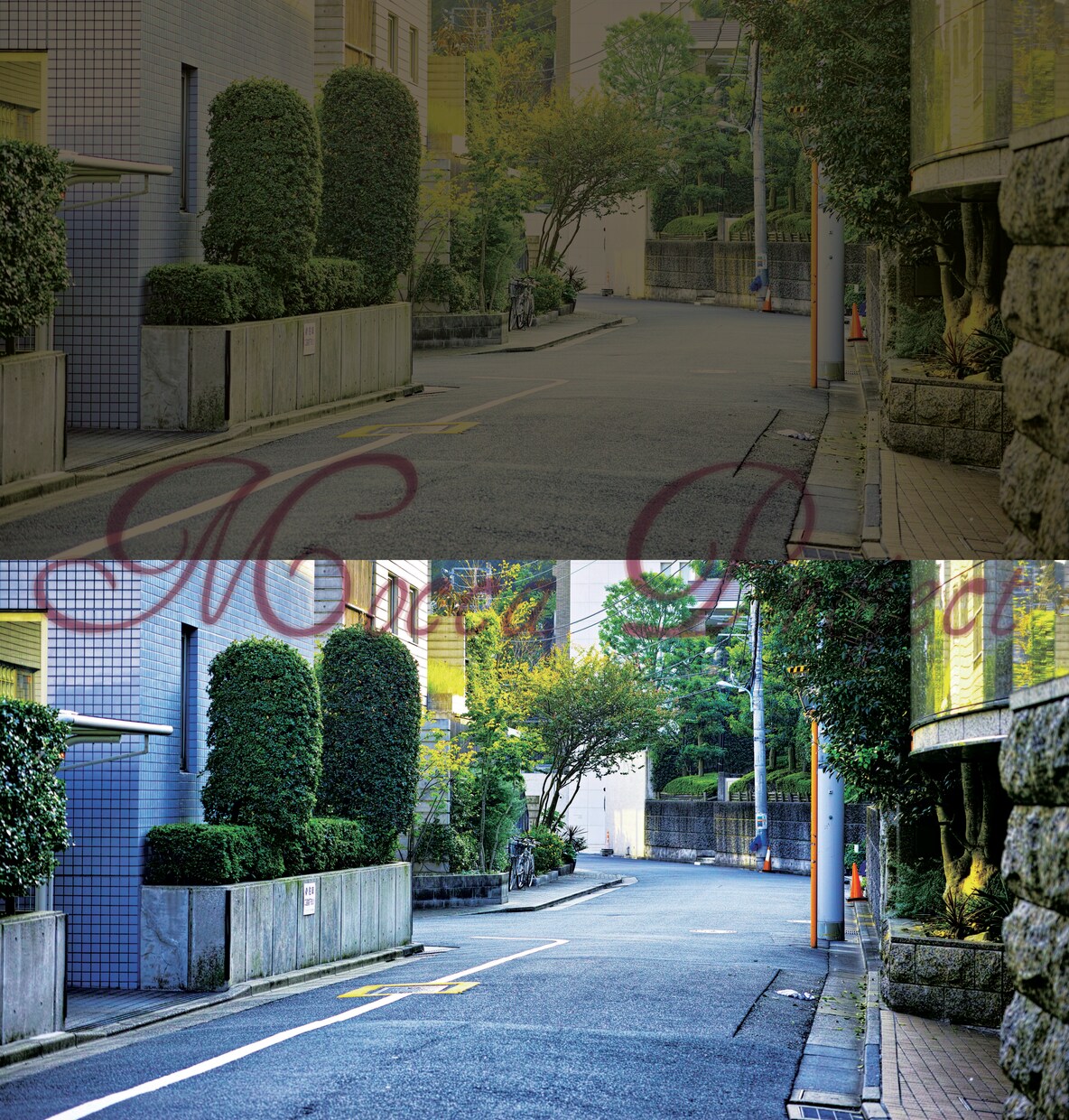 実務経験豊富なクリエイターが画像修正＆加工承ります 色調変更・補正、切り抜きなどご希望に沿うよう対応いたします！ イメージ3