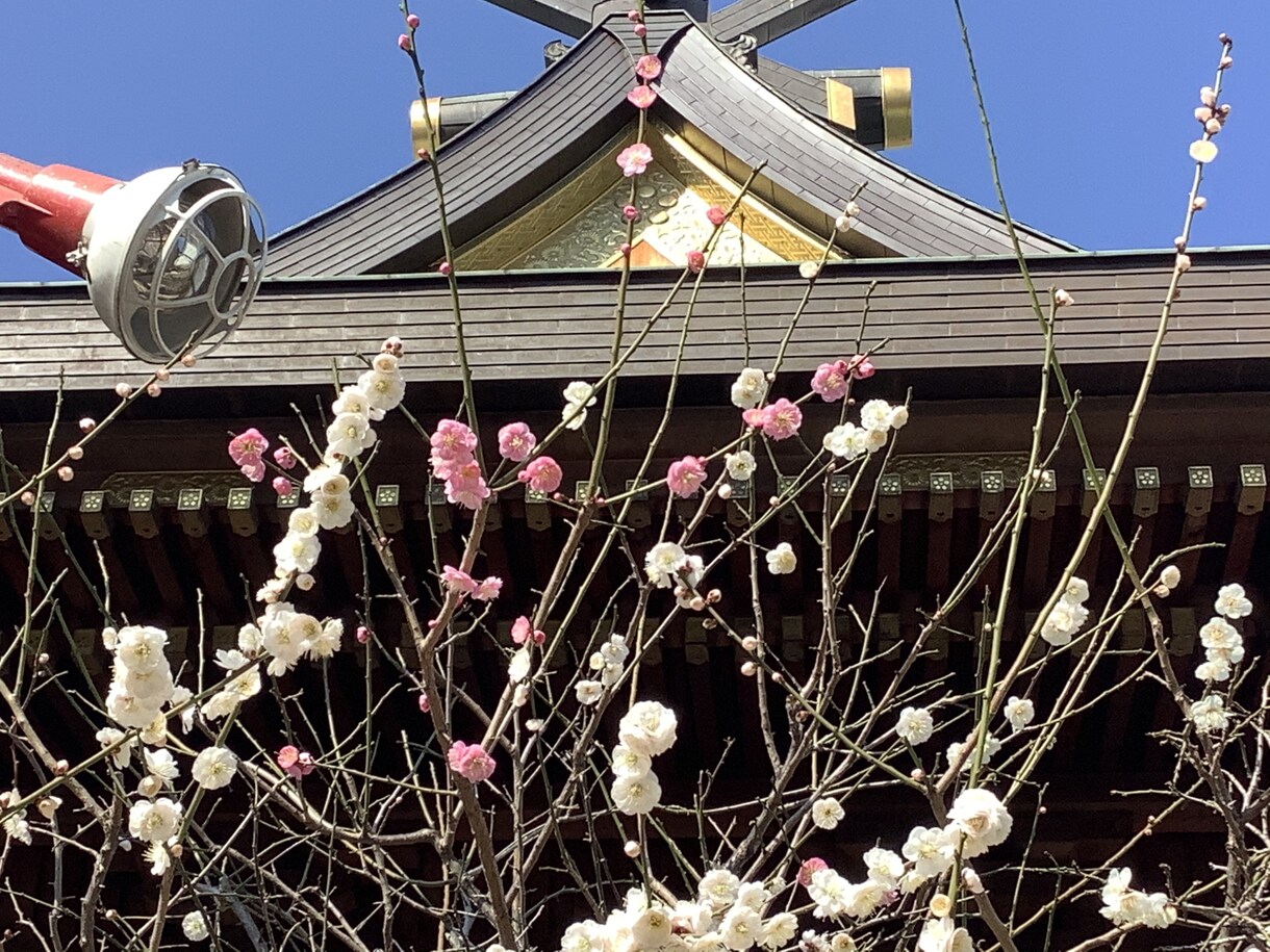 日常の些細な事、悩み、何でもお聞きします 心の中の((もやもや))をお話しください。 イメージ5