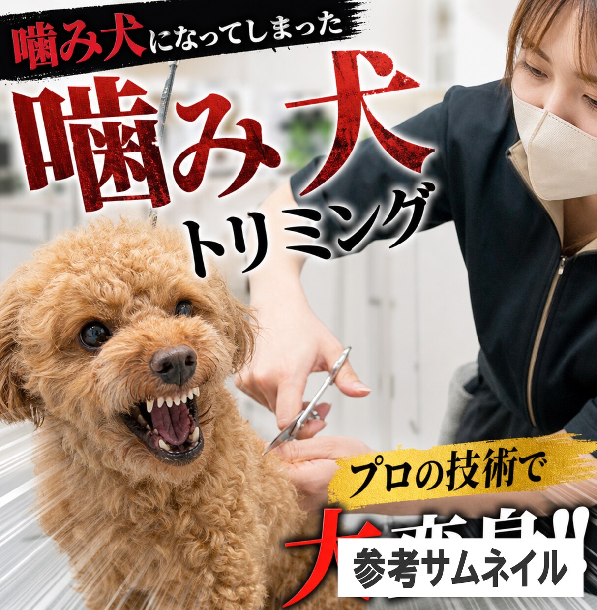 素材カットとフルテロップを低価格で承ります 編集の土台作りを丁寧かつ迅速に対応します イメージ8