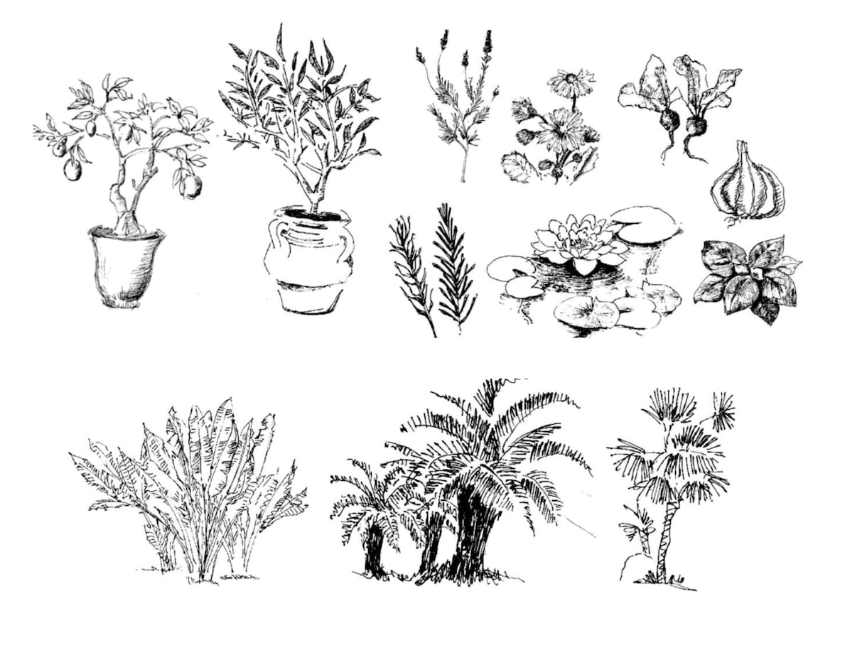 植物を使った壁紙やイラストを作成します あなたの好きな植物を絵にしてみませんか？ イメージ1