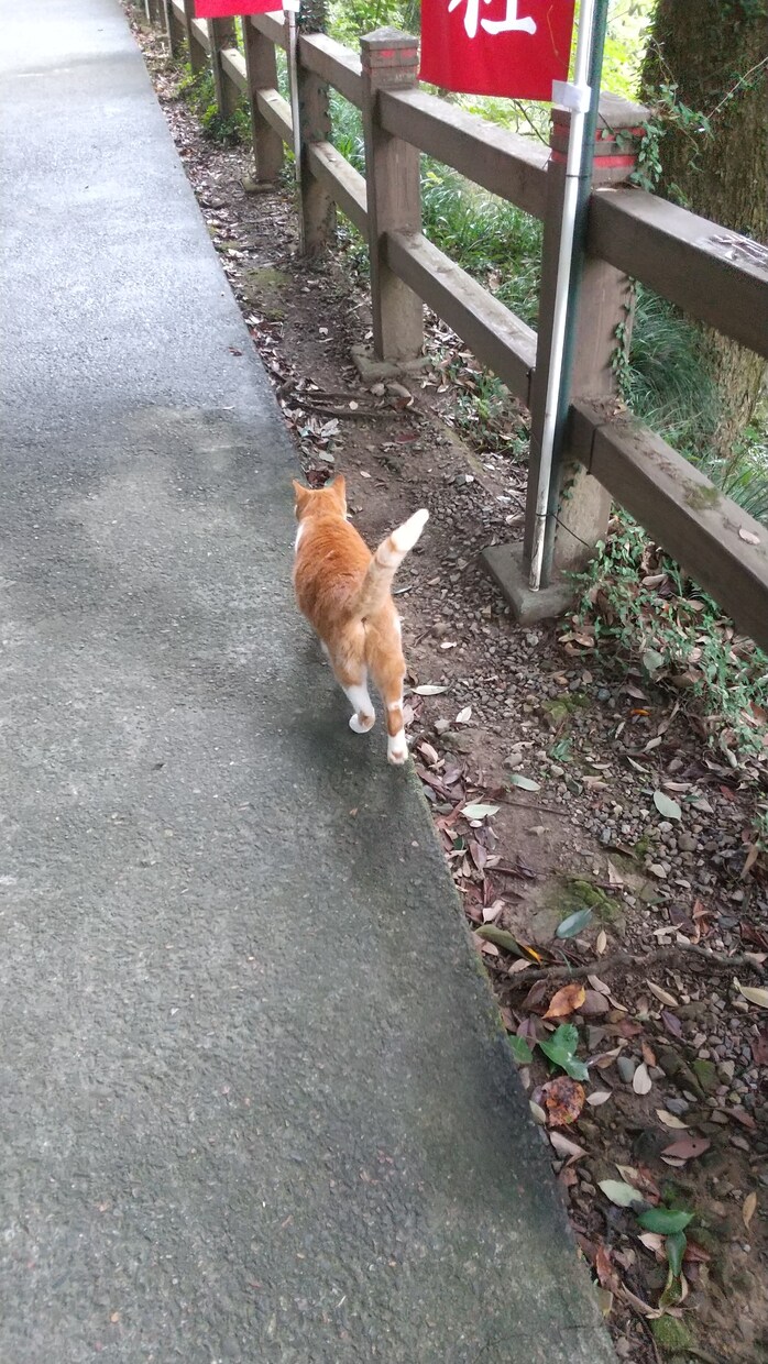 雑談から深刻な悩みまで☆優しく傾聴します 話せて良かったって思って貰えるようにアナタの心に寄り添います イメージ4