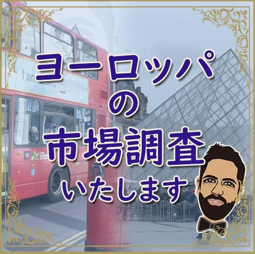 フランス語圏、英語圏の国についての市場調査致します 市場調査が必要であれば、私がいます！ イメージ1