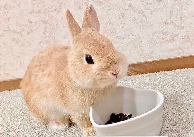 心の悩み 優しくお聞きします 大丈夫、ありのままの自分でいいんです(^^) イメージ7