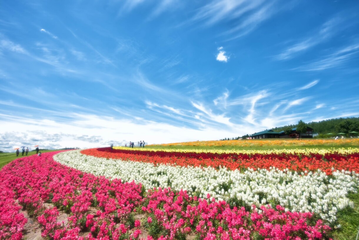 ラッキーカラーと幸せに導びくお花をお伝えできます ラッキーカラーとお花でポジティブな毎日を送りませんか？ イメージ1