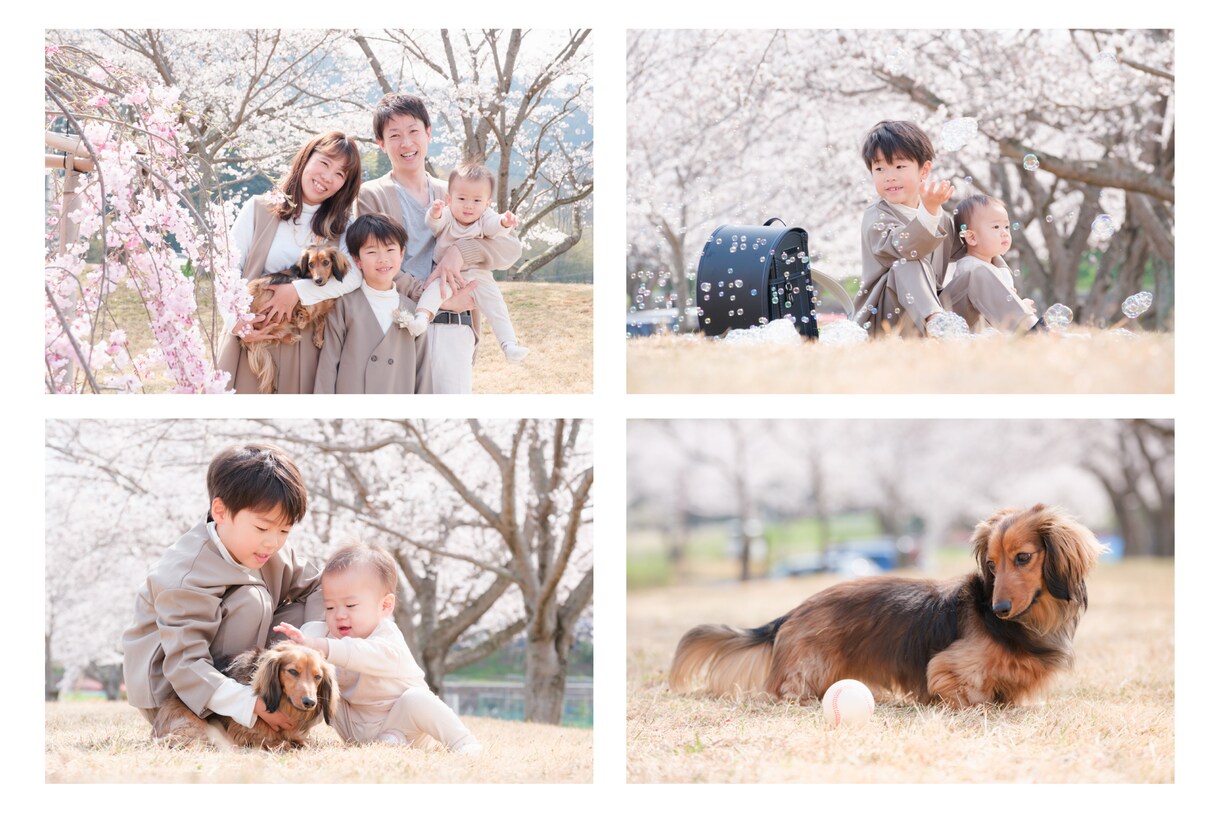 プロ写真家が出張撮影をします 個人写真・家族写真はお任せください！自然な表情を引き出します イメージ1